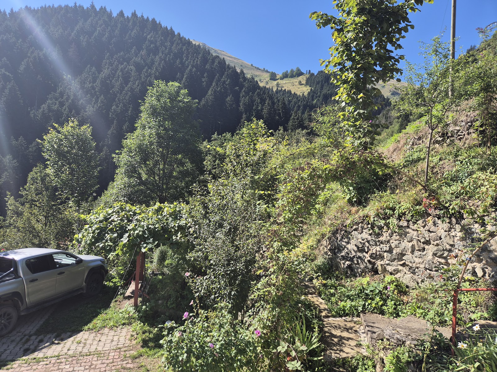 Akyazı Grand Düğün Salonu — Ortahisar, Trabzon kır düğünü mekanı görsel 8