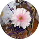 Filiz Arici profil fotoğrafı
