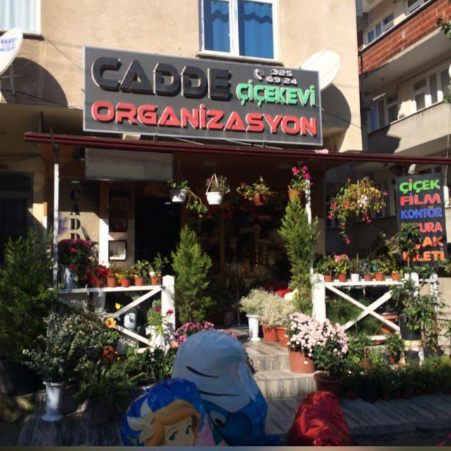 CADDE ÇİÇEK EVİ
