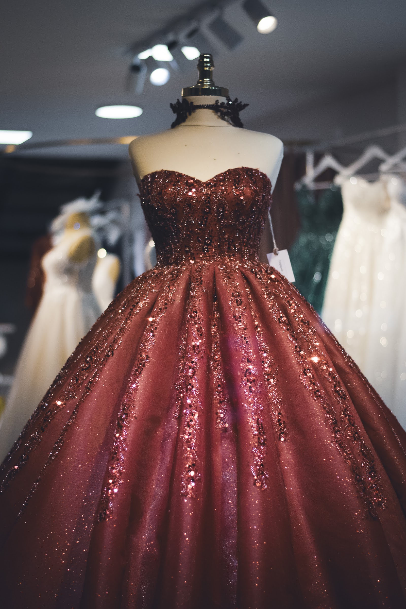 Paris Wedding Dress