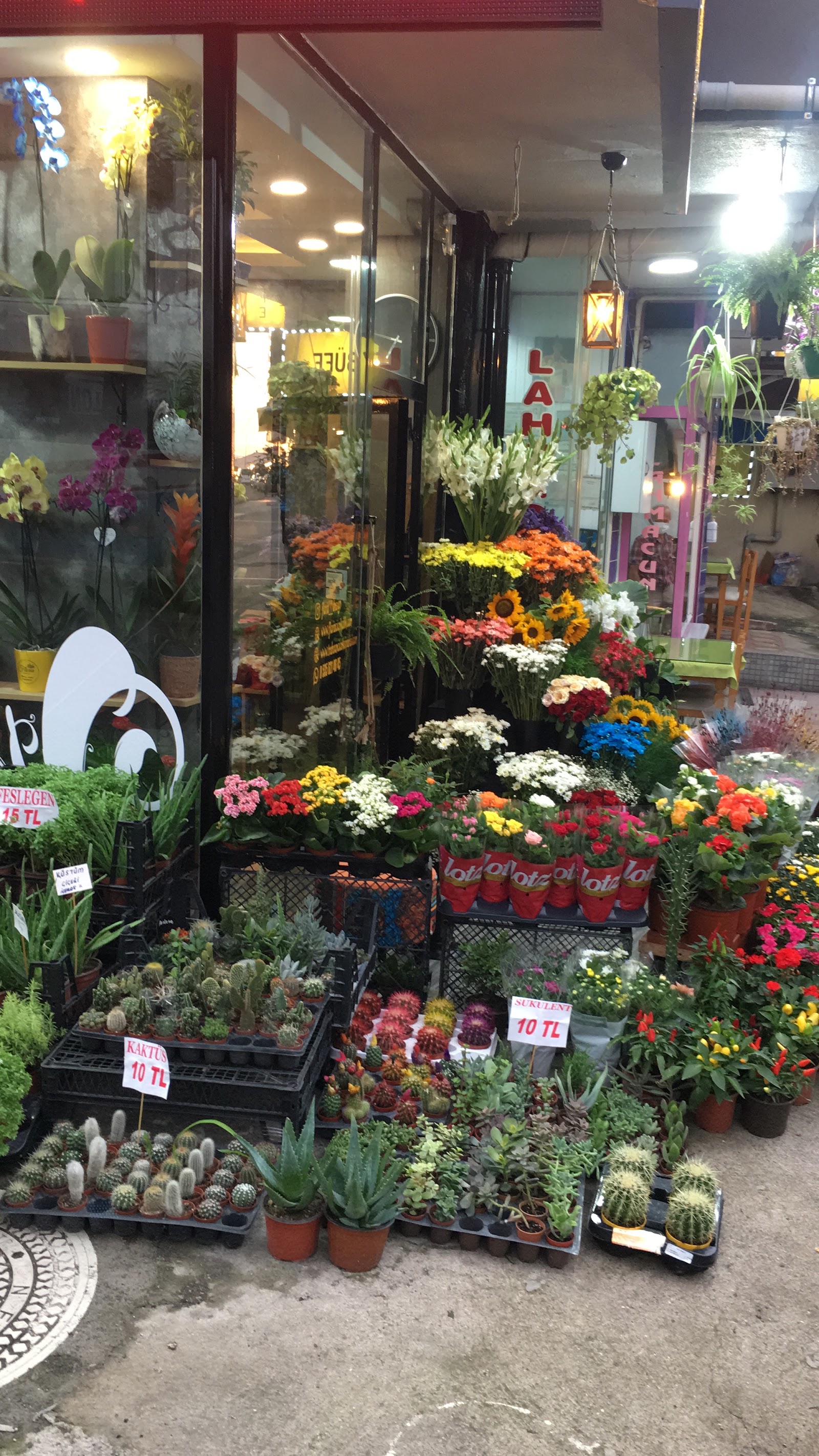 Trabzon Çiçekçi Floria Çiçekçilik